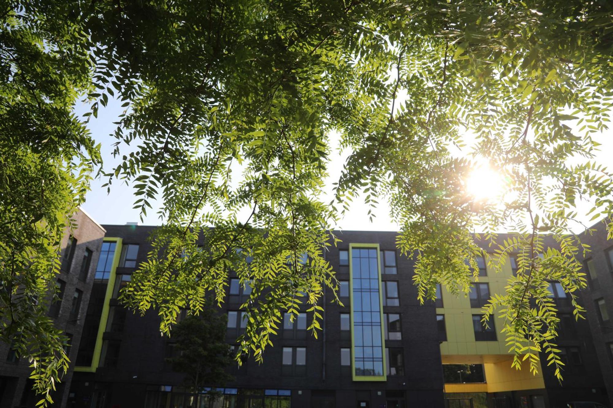 University Of Galway Rooms Chambre photo